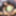 GROOBY ARCHIVES: Updates July 7th 2022 #12