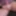 Pure solo action: I'll show you how I pamper my 16 cm cock w #5