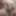 My naked pic and horny pics with my hornet cock.every one wa