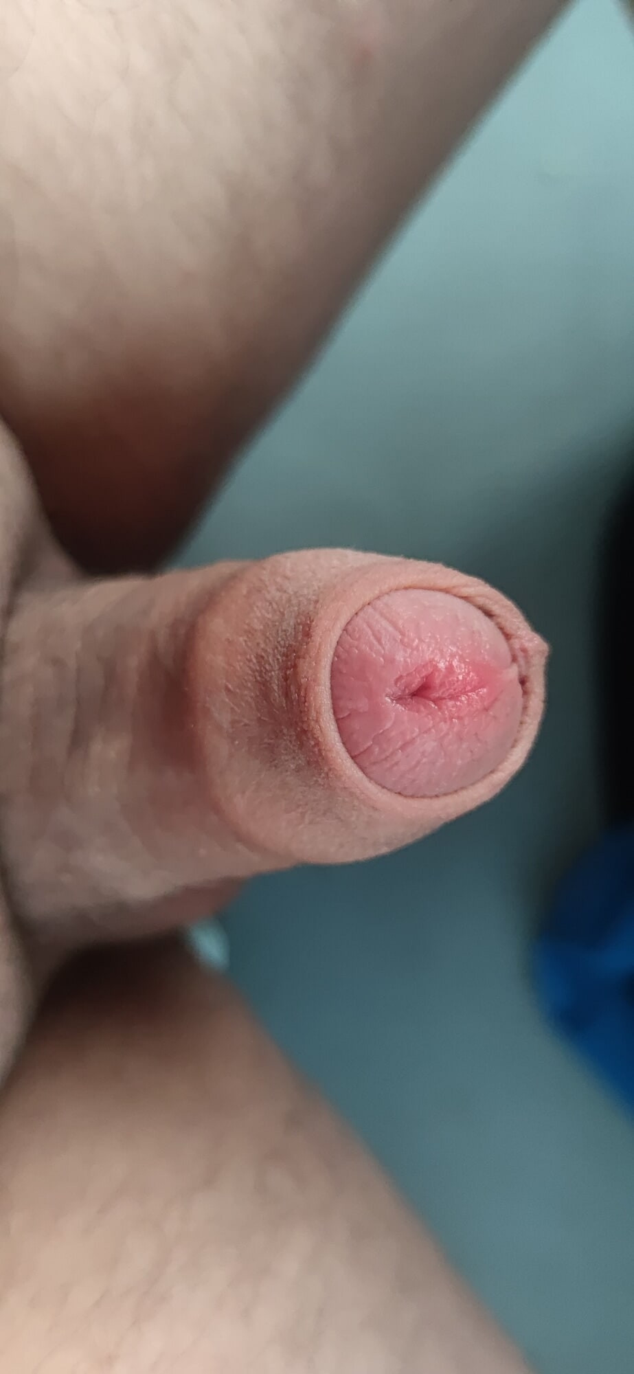 Dick #14