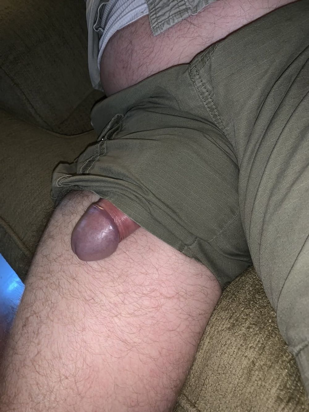 Cock in Shorts  #23