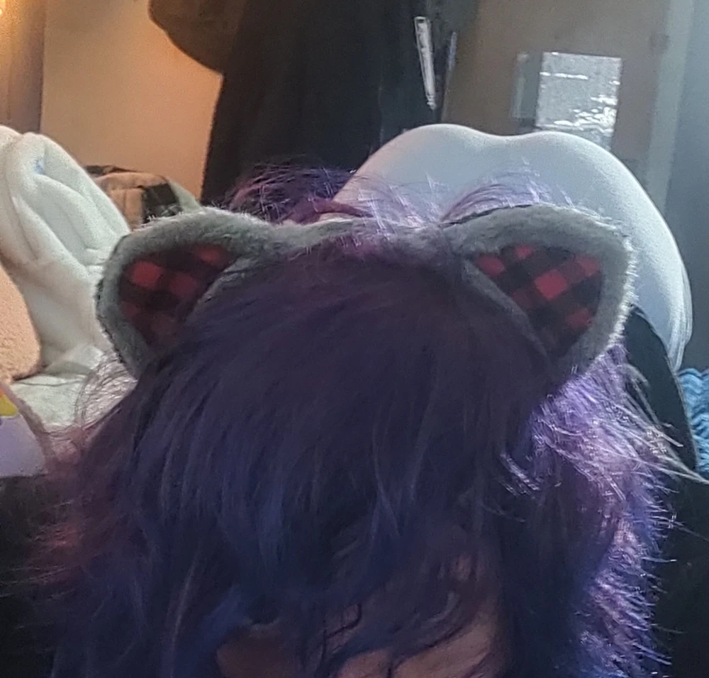 Kittywolf😽 #3