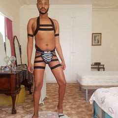 HARNESS