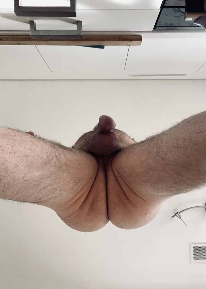 Hairy Bear shows of his fat meaty cock #3