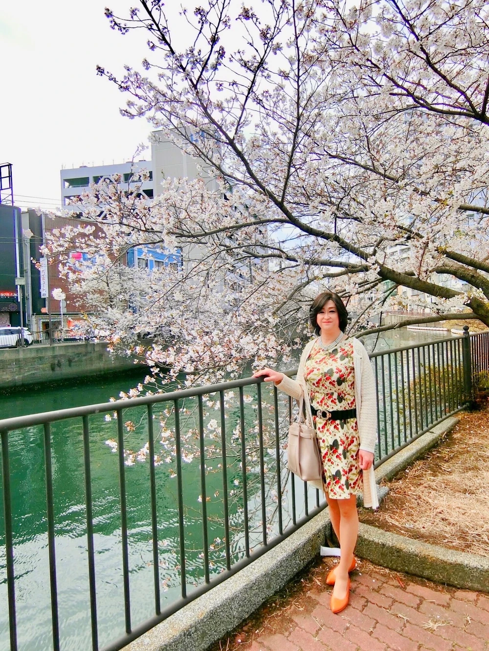 Cherry blossom  #2