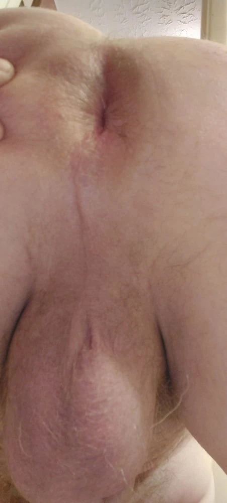 Cockass1.