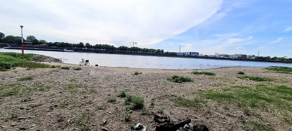 Relaxen am Rhein #2