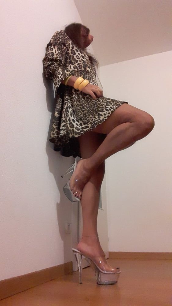 Sissy Tygra in leopard dress on 2019 octobre. #55
