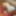 Older Granny In Panties #58 PHOTO SERIES (Dani D Mature )