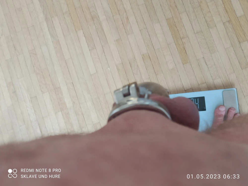 mandatory weighing and cagecheck of 01.05.2023 #2