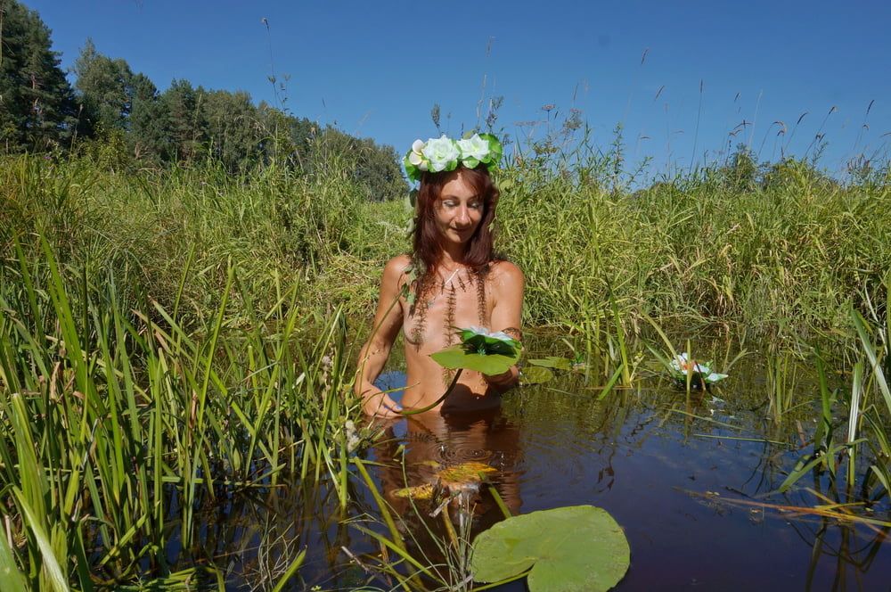 In pond with waterflowers #6