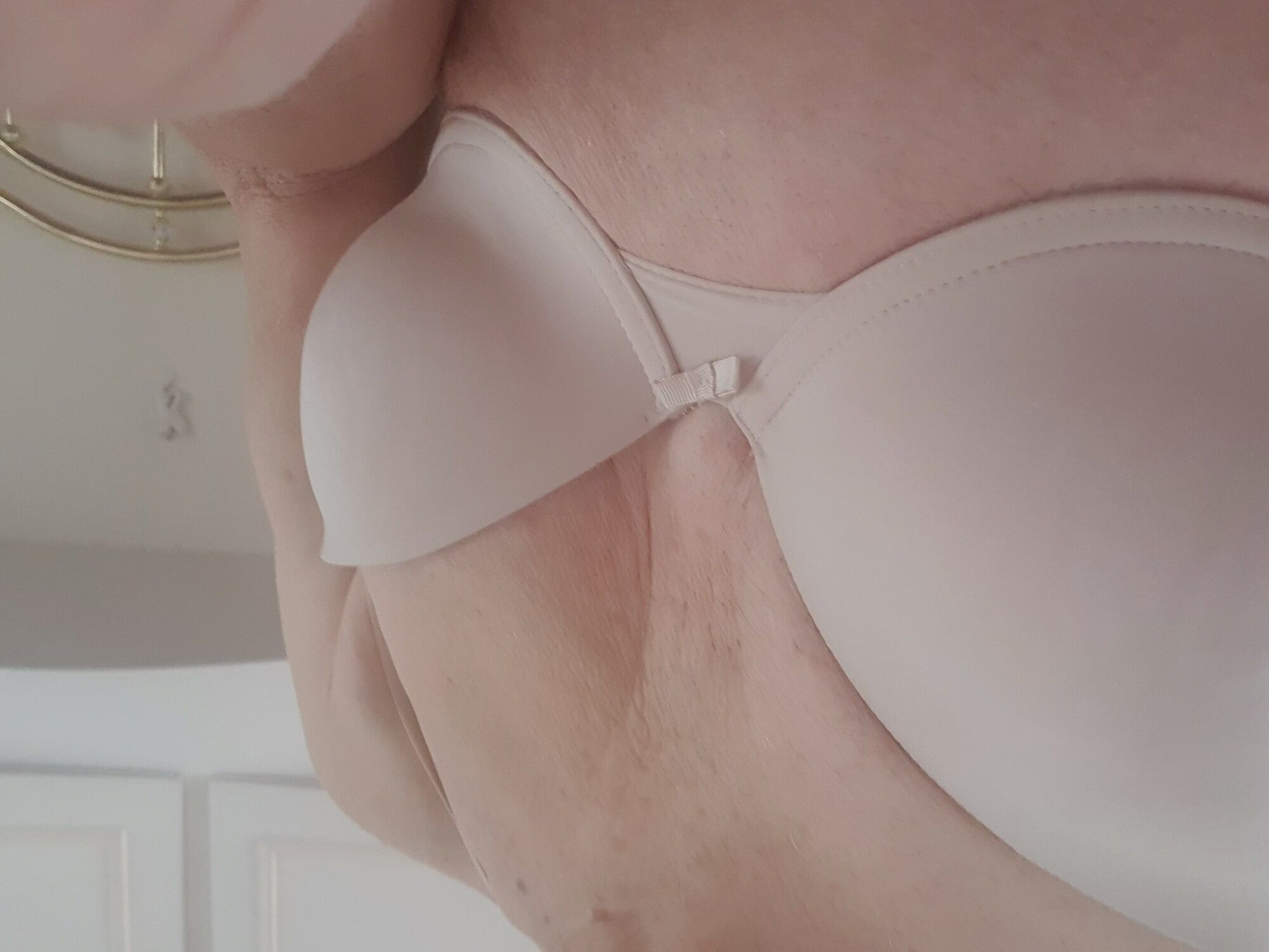 Which bra today #6