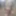 Small cock sissy flashes and rides huge dildo in public #2