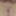 LOktober 22, 2024 Daily duty of the naked slave #11