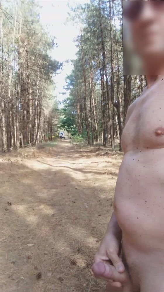 exhibitionist naked jerking cumshot in the woods #9