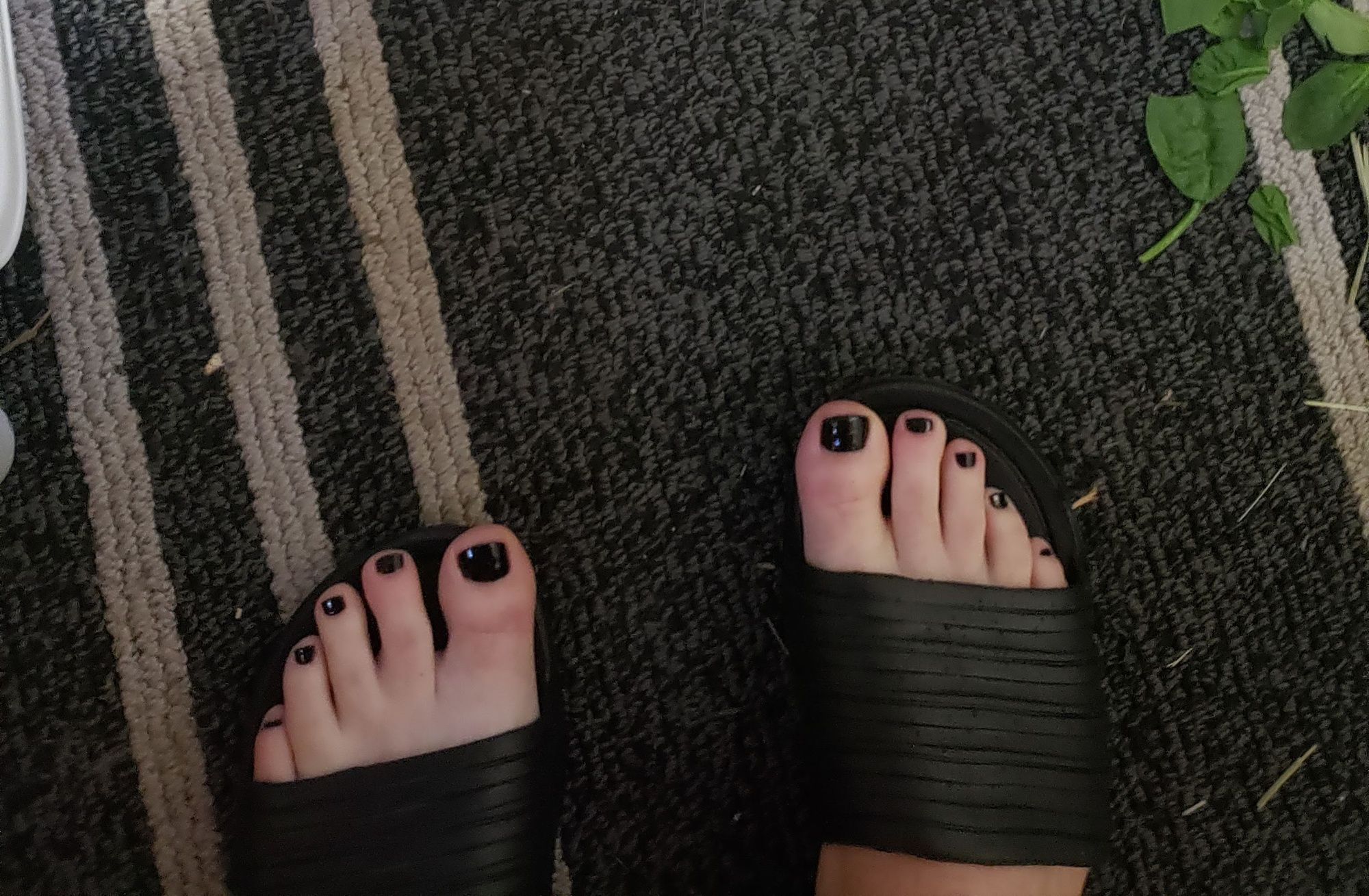 My feet pictures  #2