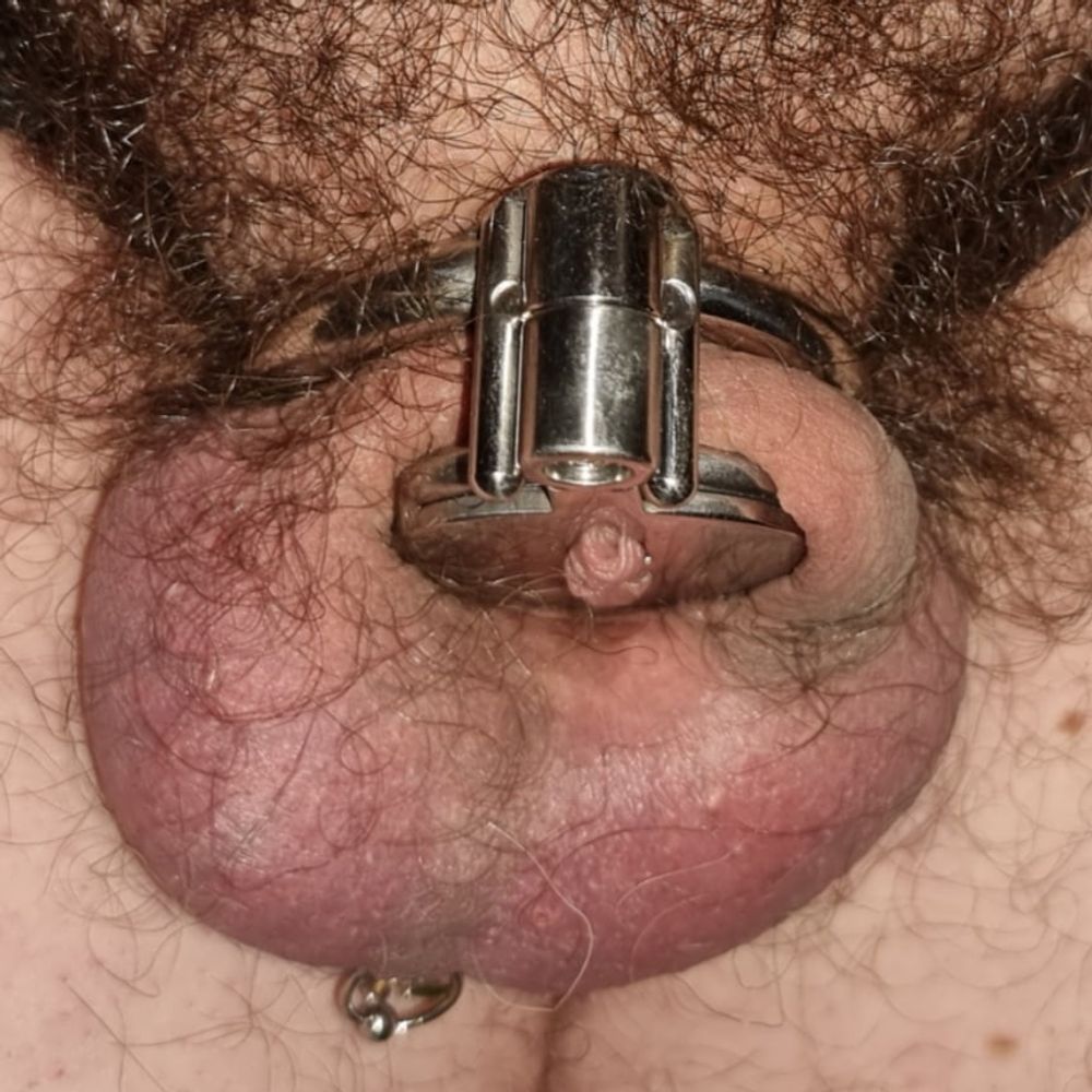 MY NEW CHASTITY CAGE #11