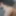 NSFW Pictures