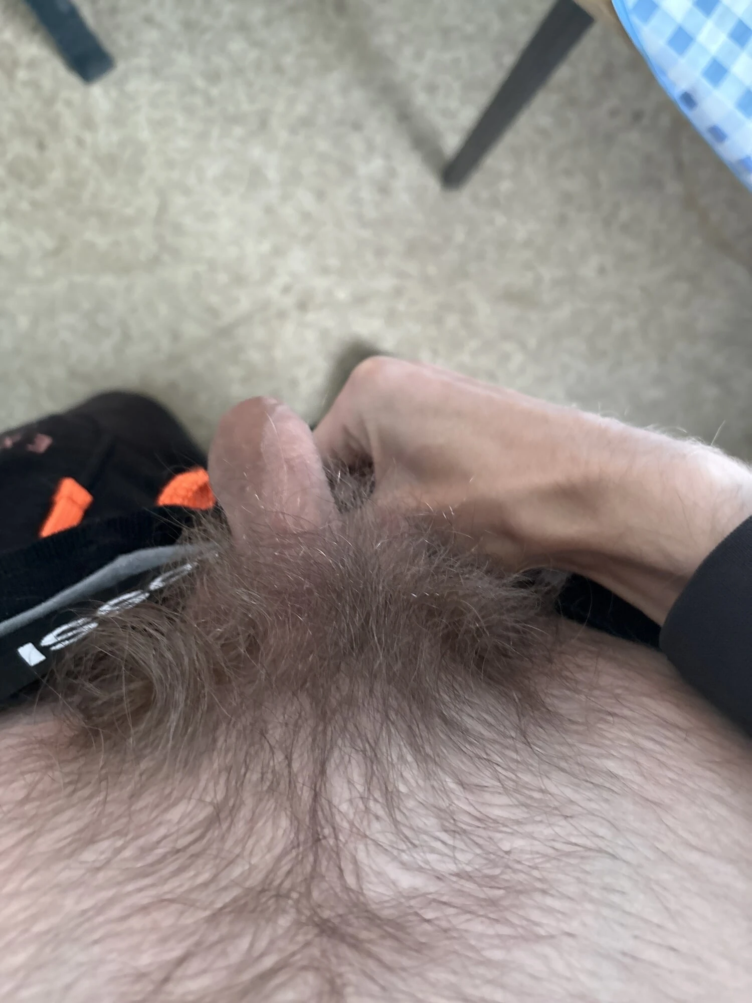 Penis Bild 