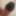 Black cock head