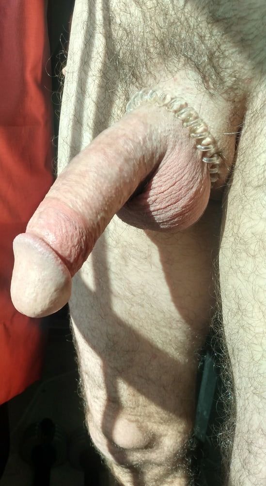 4 Pix Of Me Showing Cock To Neighbors  #2