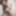 Free Lou Photos