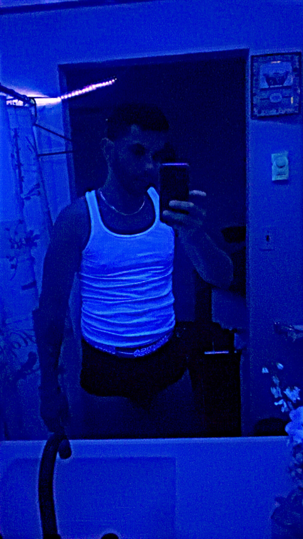 latino  #12