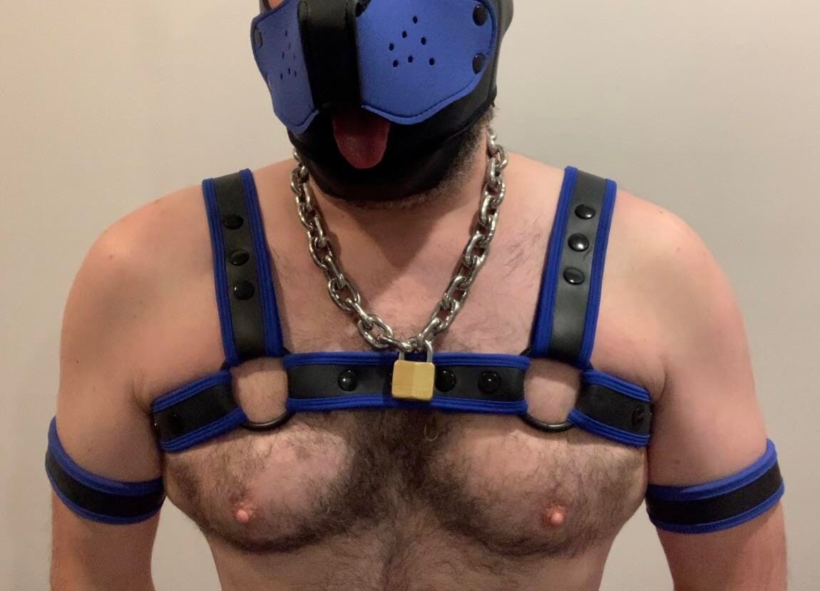 Do you like beefy pups in gear? #6