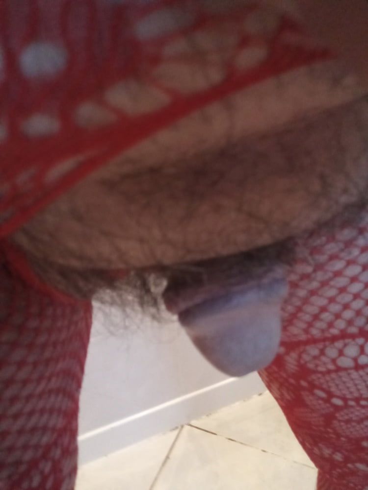 New crotchless red body stocking and two different panties #20
