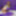 Alisya JC weekly photos 42 Anal Dildo Gape #8