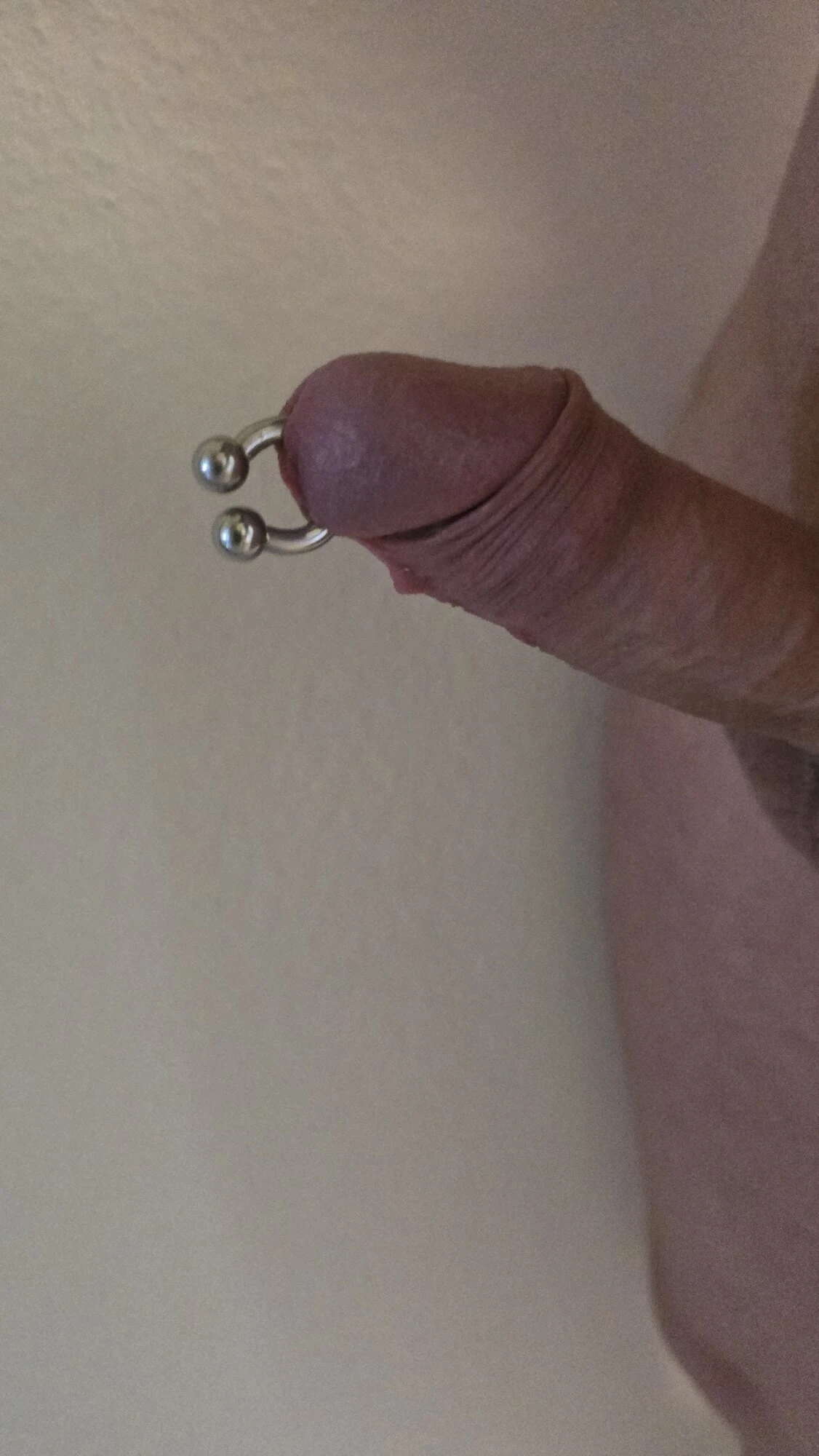 Prieced cock prince albert piercing 