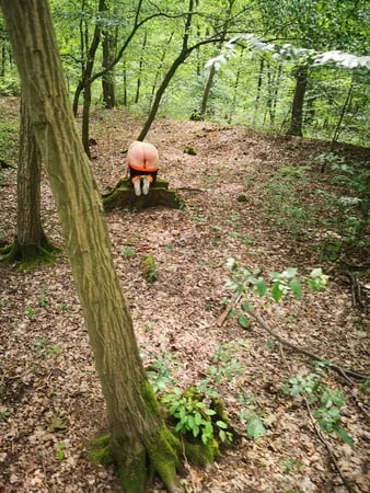 bare naked tits and ass in the woods         