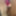 Sexy Turkish Ladyboy Big Ass #7