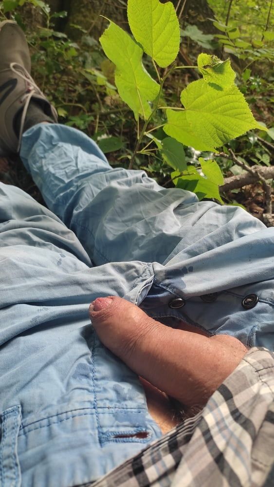 Lying on the forest floor , uncover my dick