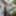 Thiago Free Photos