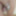 Horny duty Weighing, Cagecheck, plugcheck August 03, 2023