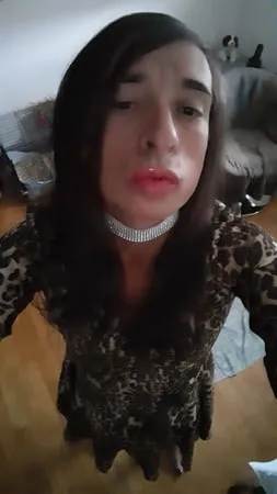 sissy tygra in leopard dress on      octobre         