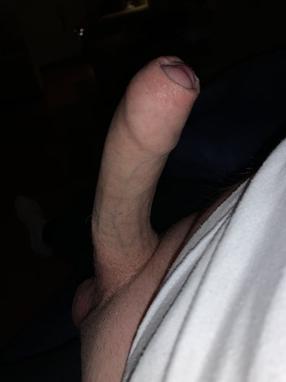 Dick #29