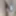 June 5, 2024. Daily duty of the naked slave #3