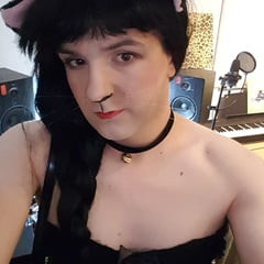 Kitty-Cat