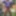 Sexy Crossdresser kellycd2022 in tight lilac dress 