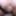 Intimate Reverse Cowgirl POV - Cum HARD In Me Baby!