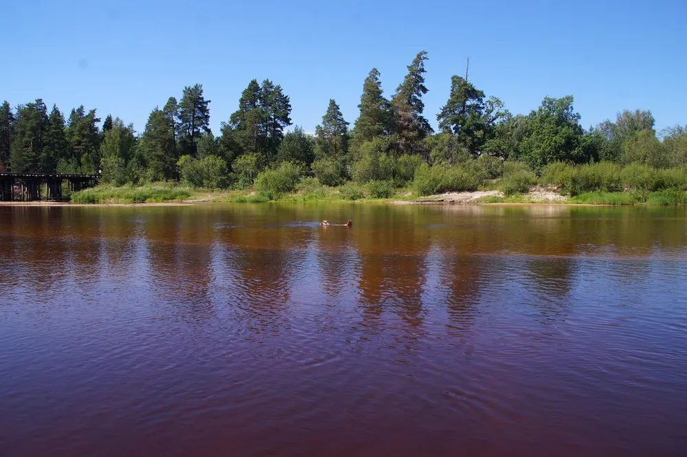 In water of Loch-river #4