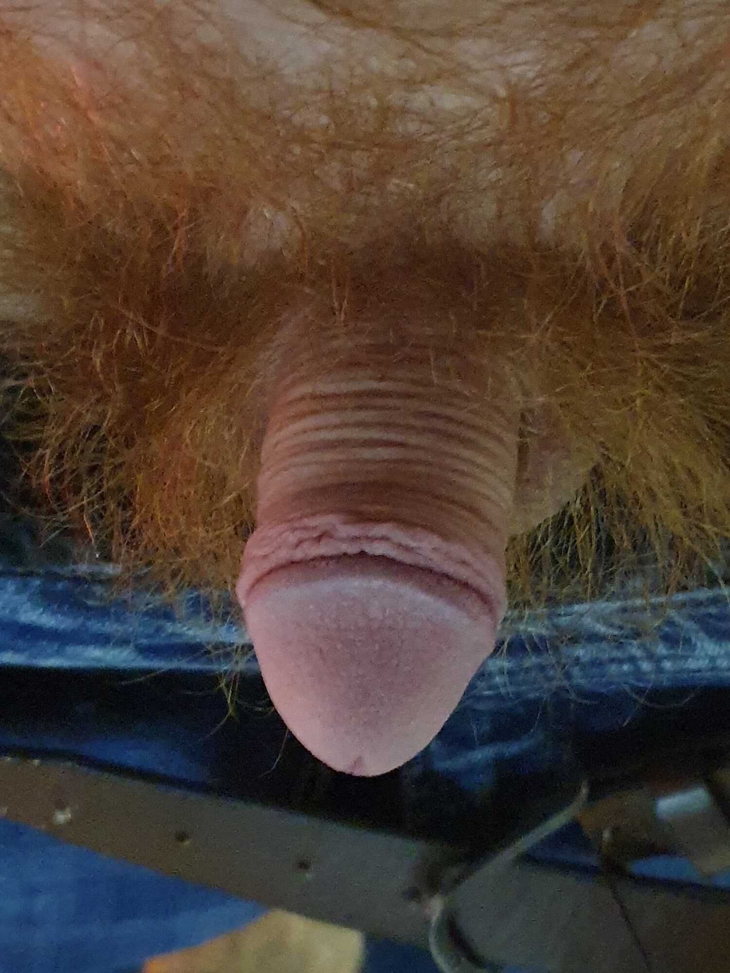 Dick pics #3