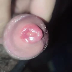 Pure CBT 