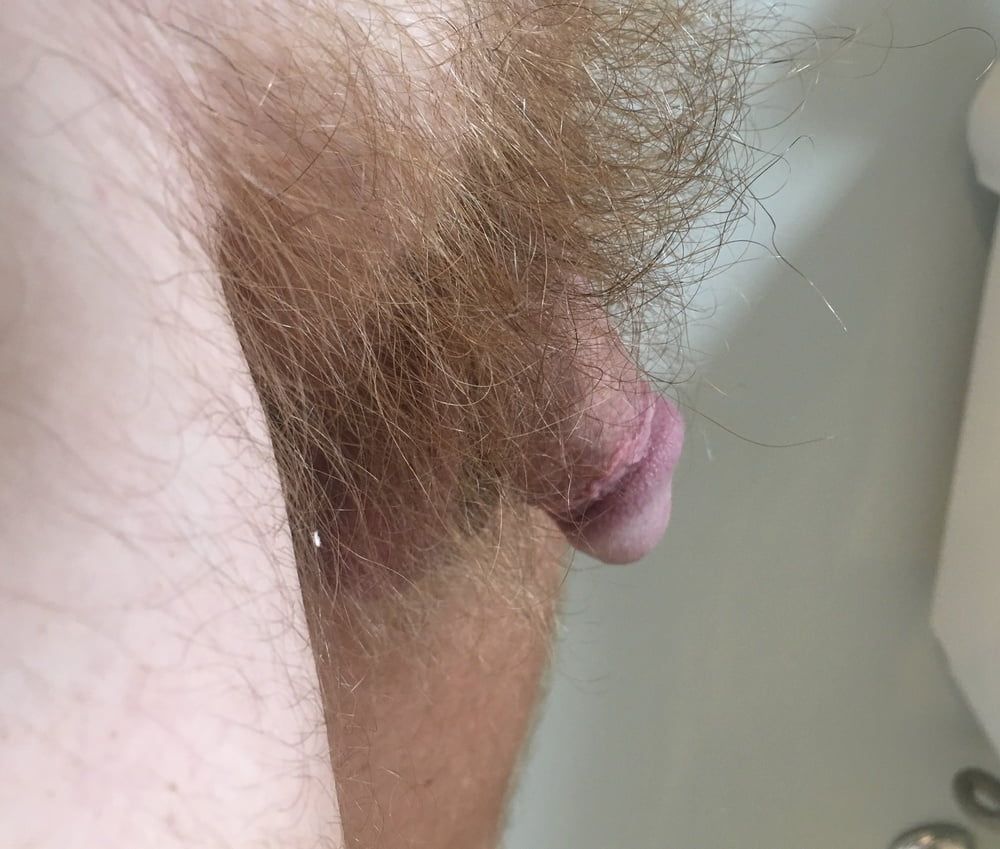 Dick closeups  #27