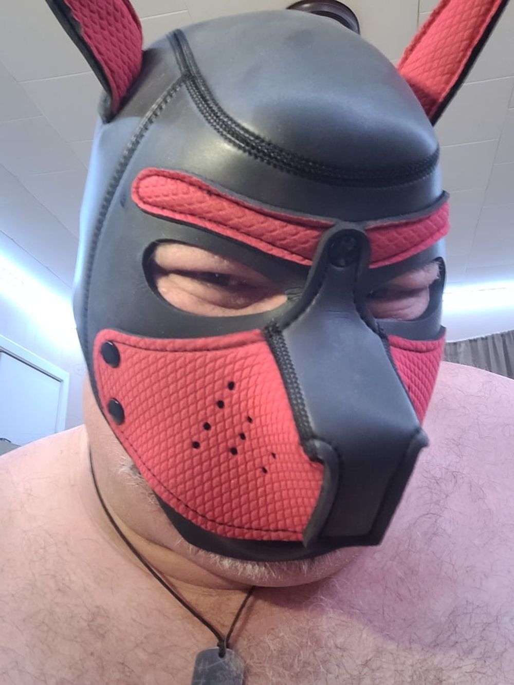 Woof! Masked Set #25