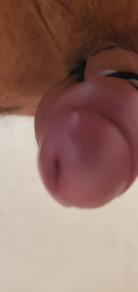 Cock view #4