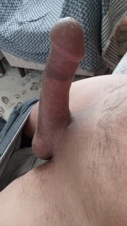 ミルフ