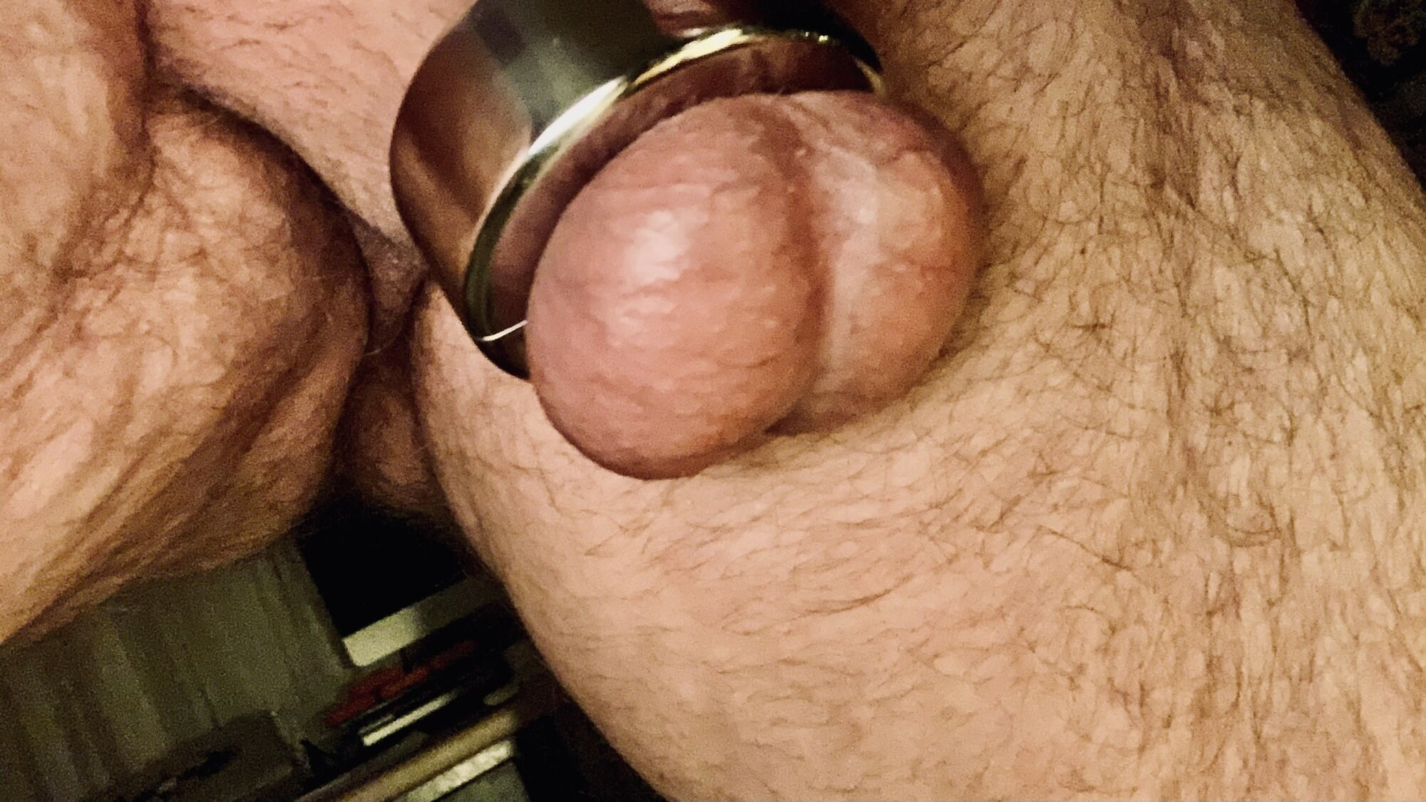 Cock Collection  #5